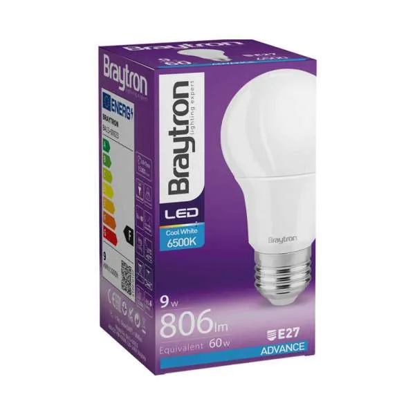 LED sijalica E-27 9W 6500K 