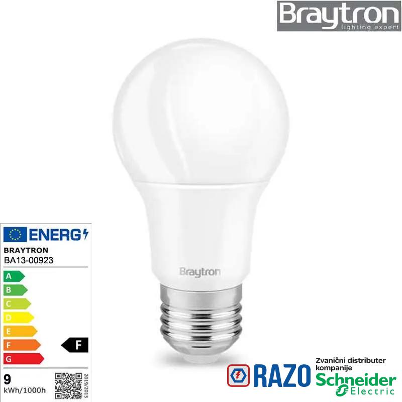 LED sijalica E-27 9W 6500K 