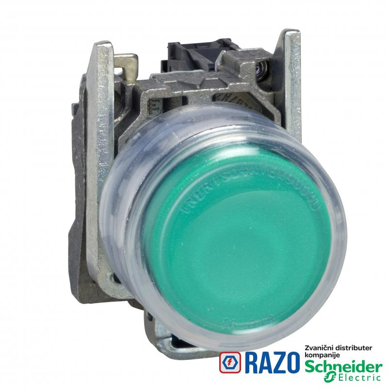 zeleni svetleći taster - Ø 22 - 24 V-ATEX 